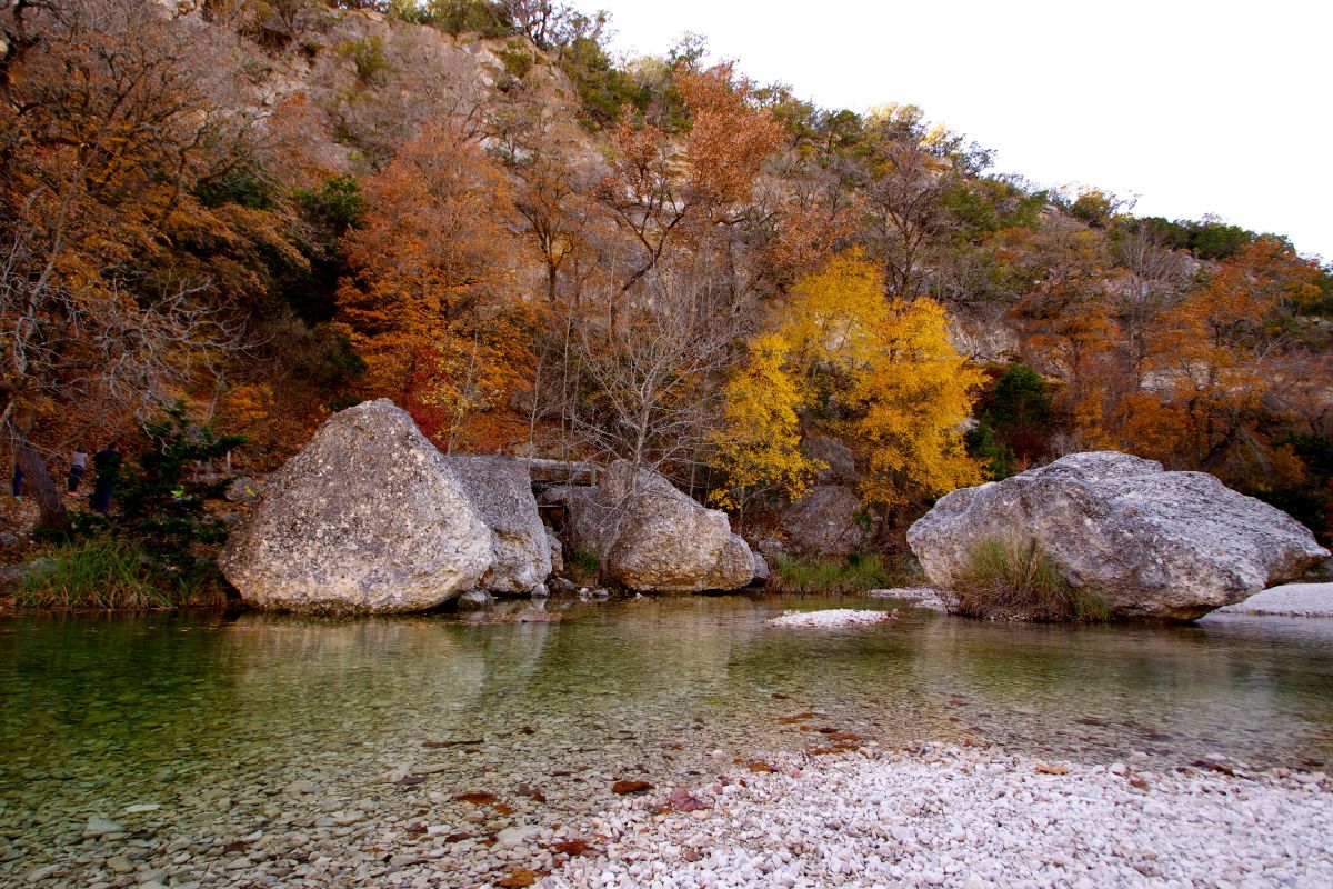 11. Lost Maples State Natural Area