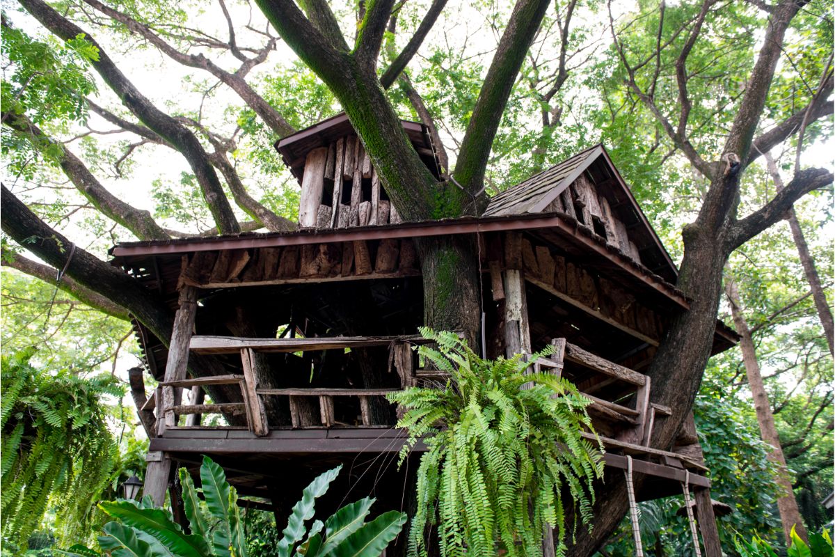 14 Of The Best Treehouse Rentals In Texas