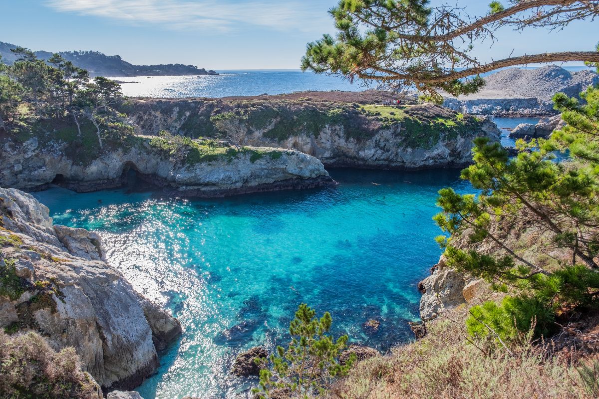 Enjoy Point Lobos State Natural Reserve