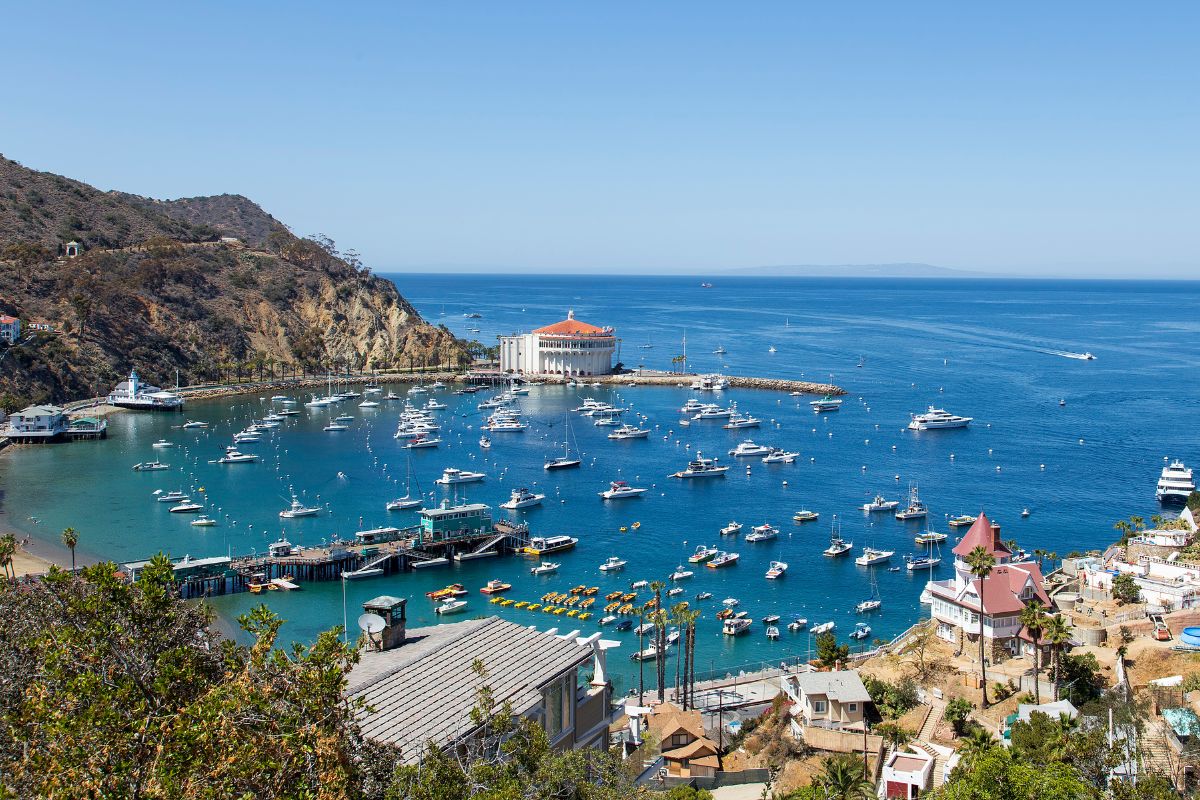 10. Santa Catalina Island, California