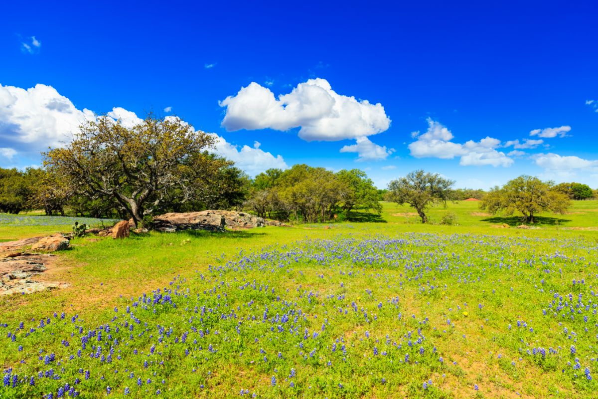 21. Texas Hill Country