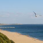 Dog Friendly Hotels In Bournemouth